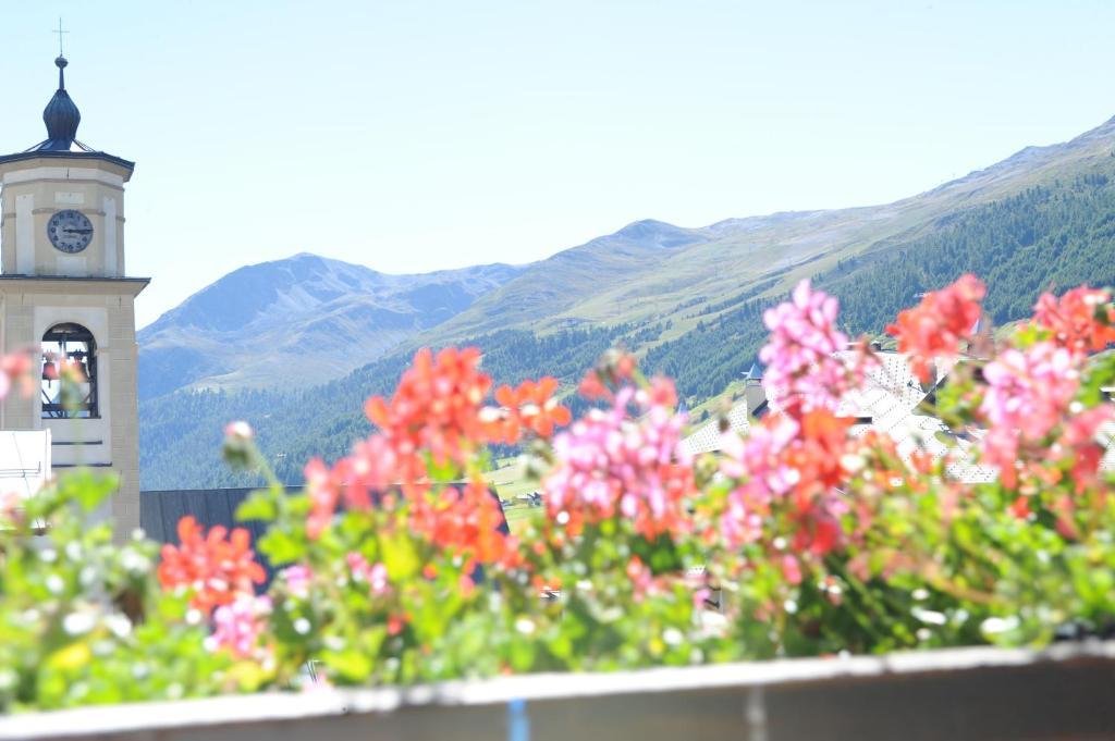 Alpina Livigno