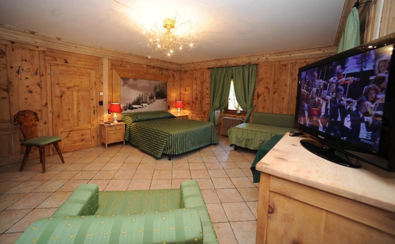 Hotel Alpina 3*