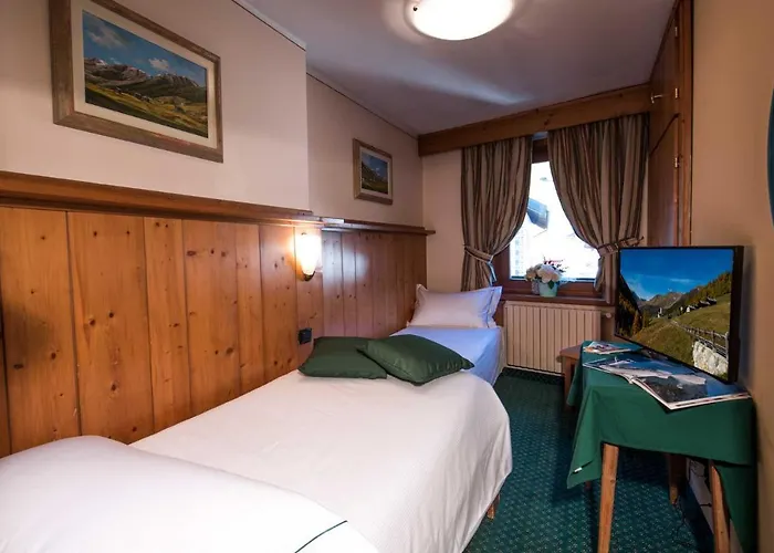 Hotel Alpina